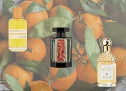 Главный аромат января — с мандарином