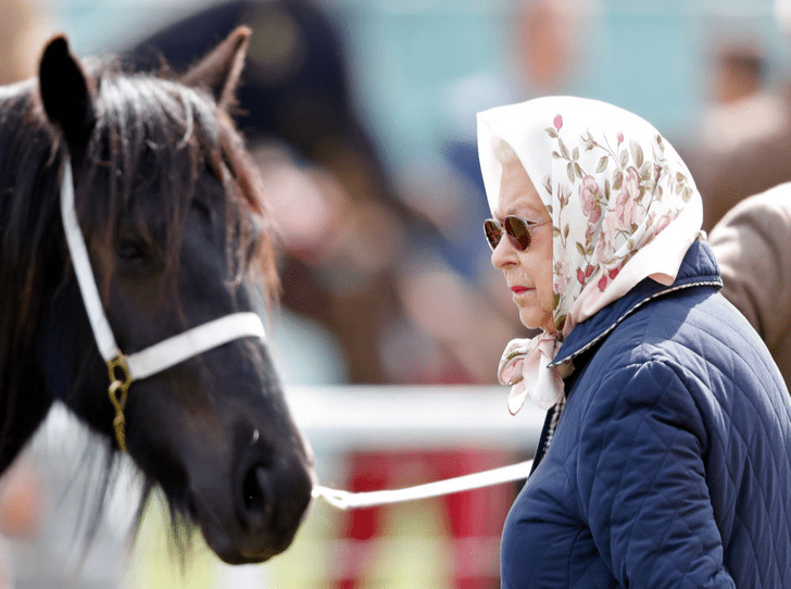 Всегда на коне: 93-летняя Королева продолжает кататься верхом