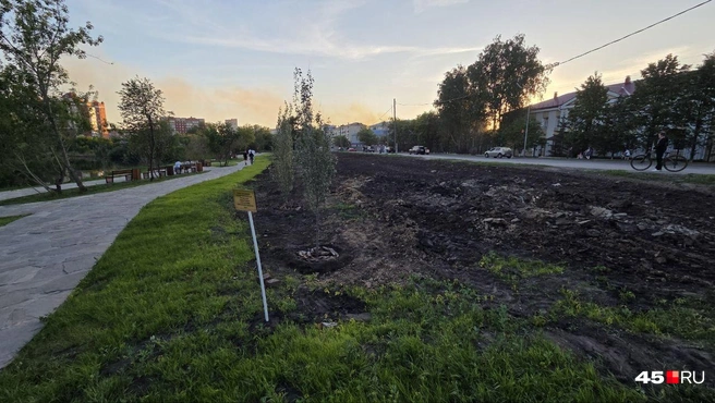 Источник: Алёна Кисель