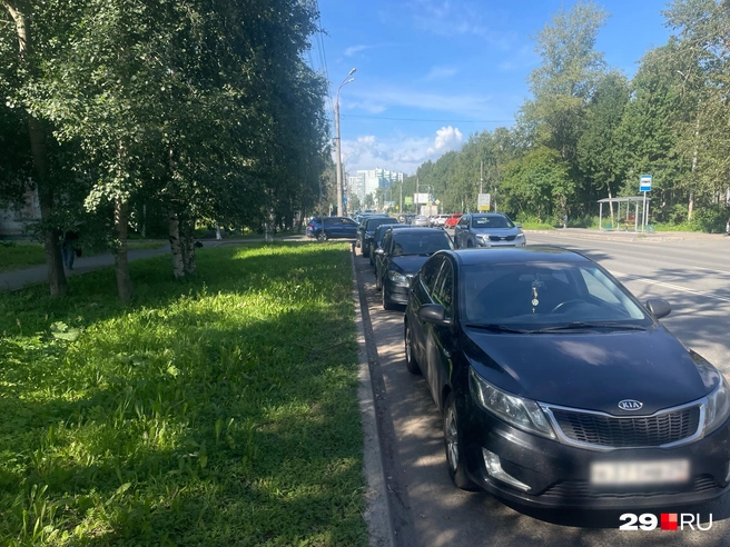 Источник: Антон Данилов / 29.RU