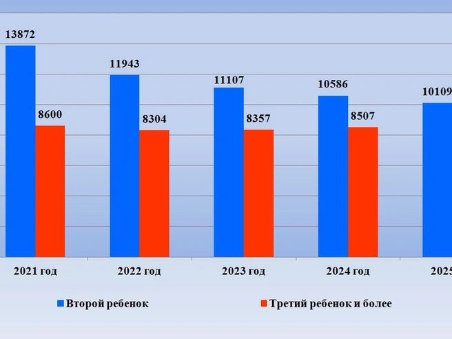 Статистика рождения вторых, третьих и последующих детей в семьях Ростовской области. | Источник: пресс-служба правительства Ростовской области