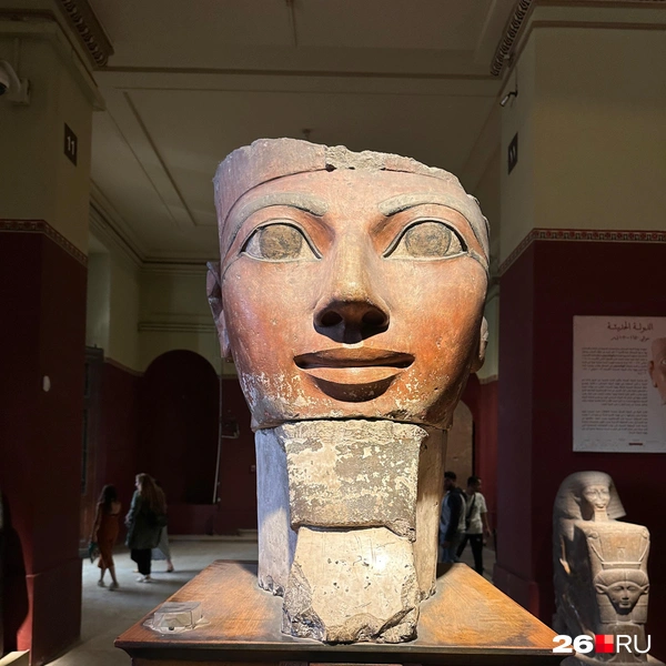 Источник: Габриелла Захарова / 26.RU