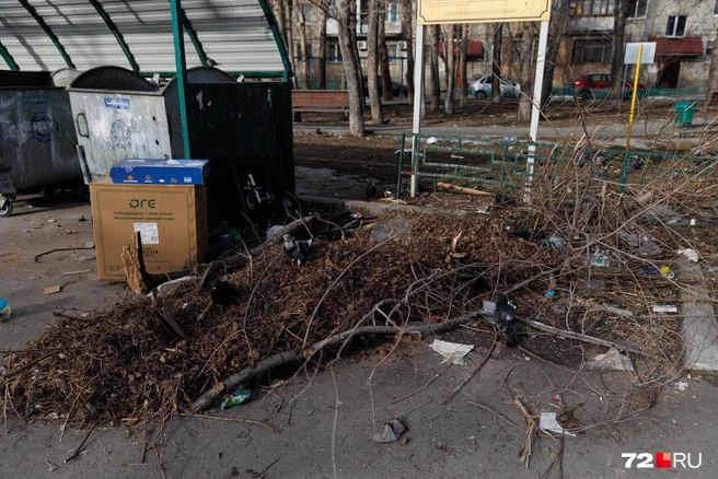 А здесь, видимо, решили не заморачиваться и оставить всё возле мусорного бака | Источник: Ирина Шарова / 72.RU