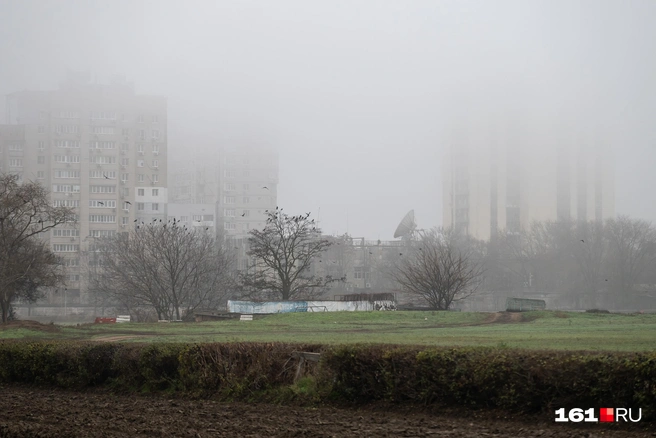 Источник: Евгений Вдовин / 161.RU