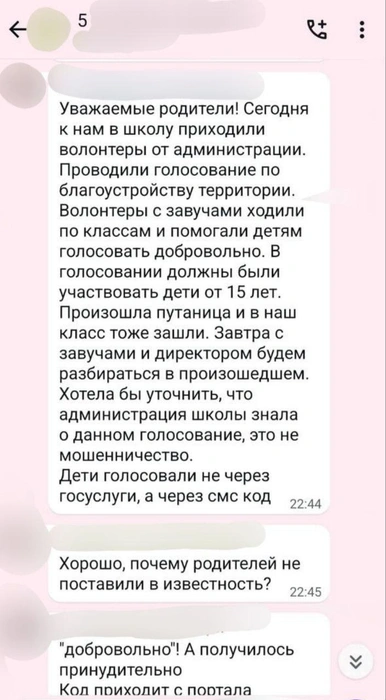 Дети, у которых собирали СМС-коды, по закону не могут голосовать, а их аккаунты на «Госуслугах» привязаны к родительским | Источник: родители учеников школы