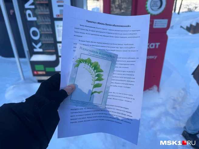 В конце учета белок все участники получили памятку и открытку с рисунком от биолога и художницы Анны Герасимовой | Источник: Анастасия Харитонова / MSK1.RU