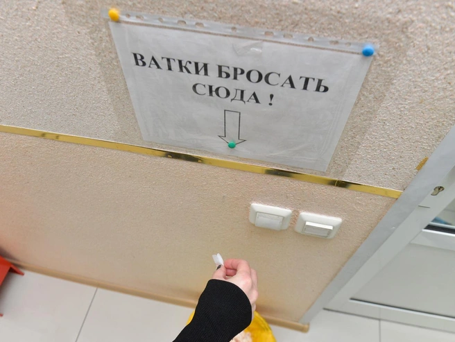 Утилизацию медицинских отходов обсудили на Экосовете | Источник: Артём Устюжанин / E1.RU
