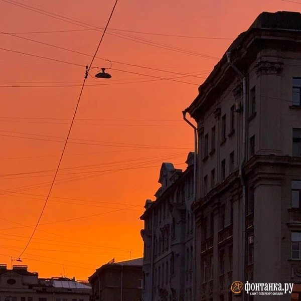 Источник: Дарья Драй / «Фонтанка.ру»