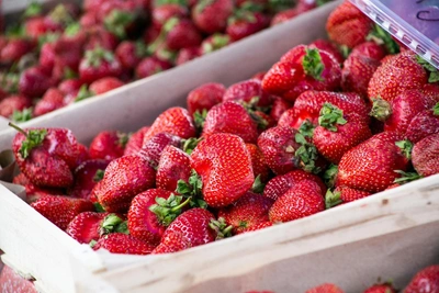 Strawberry Season Blossoms at Irkutsk Central Market