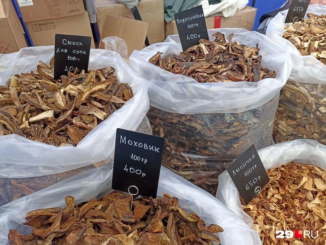 Источник: Иван Митюшёв / 29.RU