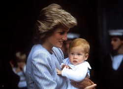 Принц Гарри начал сенсорную терапию, чтобы восстановил память о принцессе Диане