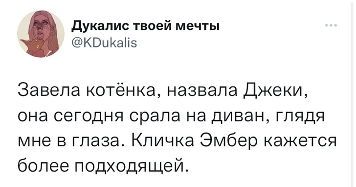 Шутки понедельника и котёнок Эмбер