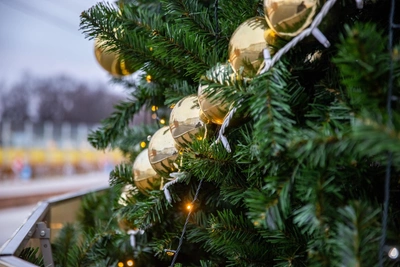 Куда сходить в Ярославле 10 января: афиша