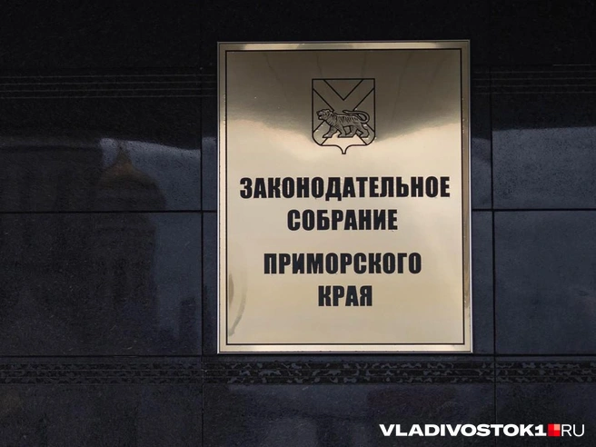 Голосование пройдет с 18 по 20 сентября | Источник: Елена Буйвол / VLADIVOSTOK1.RU