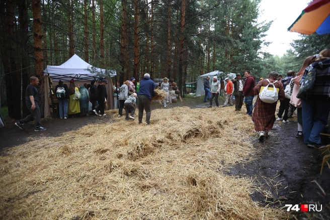 Пришлось подбросить соломки | Источник: Дарья Пона