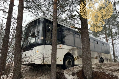 Автобус съехал в кювет в Ленобласти, пострадал кондуктор