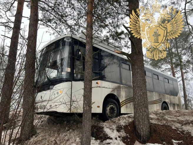 Деревья остановили автобус, съехавший в кювет в Ленобласти. Пострадал кондуктор | Источник: Прокуратура Ленинградской области