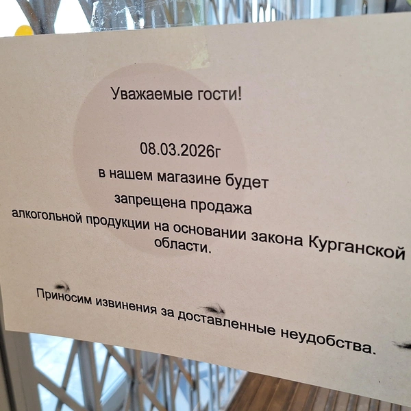 Согласно закону, алкоголь не будут продавать и в праздничный день 8 марта | Источник: Александр Лисихин / 45.RU 