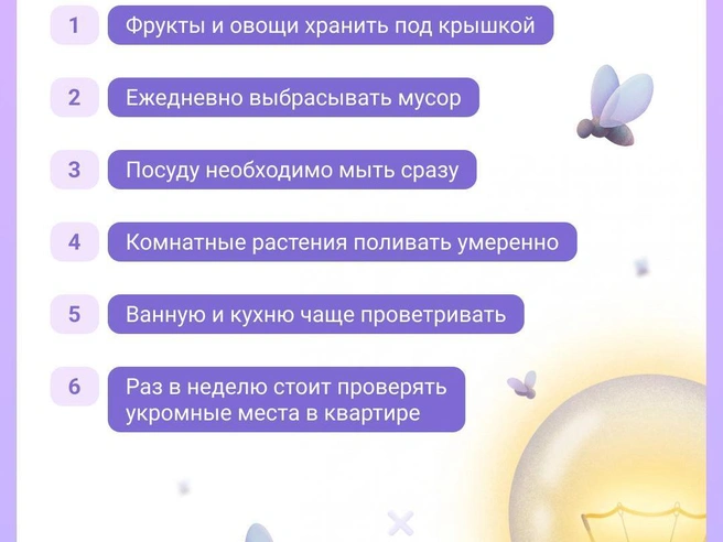 Что делать, чтобы дома не появлялись мошки | Источник: Евгения Бикунова / Городские порталы