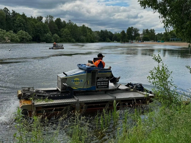 Машины-амфибии и специальные лодки. Как «косили» озера, реки и каналы Петербурга | Источник: Официальный телеграм-канал комитета по природопользованию