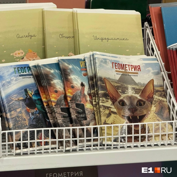 Изображения животных всегда в топе — к тому же теперь их стали генерировать в нейросетях | Источник: Владислав Зайцев / E1.RU