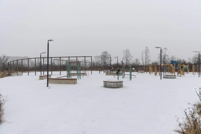 Скандальный парк «Озерная гривка»: фоторепортаж и судьба