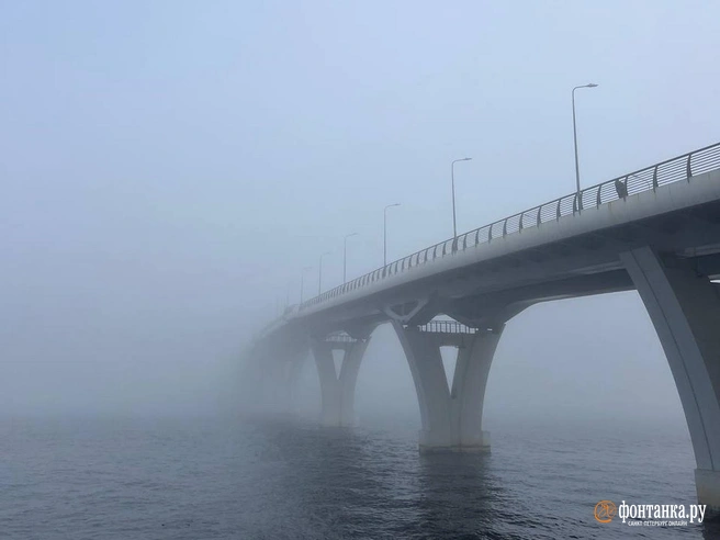 Гость со льда и виновник массового ДТП на дамбе. На Петербург опускался густой туман | Источник: читатель «Фонтанки»