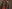 Фото №1 - Тургеневские барышни в коллекции Laroom FW17
