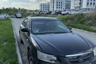 В Екатеринбурге собак отселили в машину из-за младенца