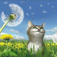 Аватарка valentinaost