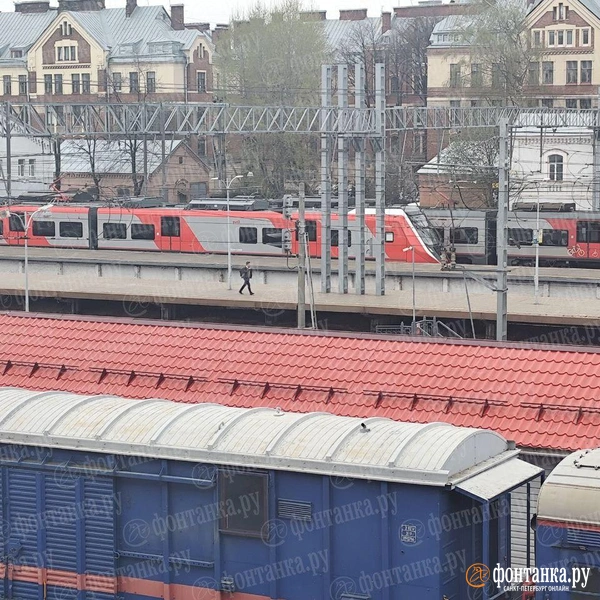 «Финист» прилетел в Петербург. Посмотрите на фотографии электропоезда с Финляндского вокзала | Источник: «Фонтанка.ру»