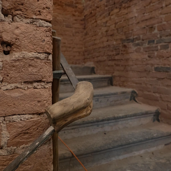 Источник: Сергей Николаев / «Фонтанка.ру»