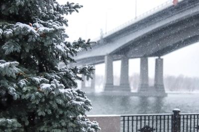 Морозы до -17 ожидаются в Ростовской области