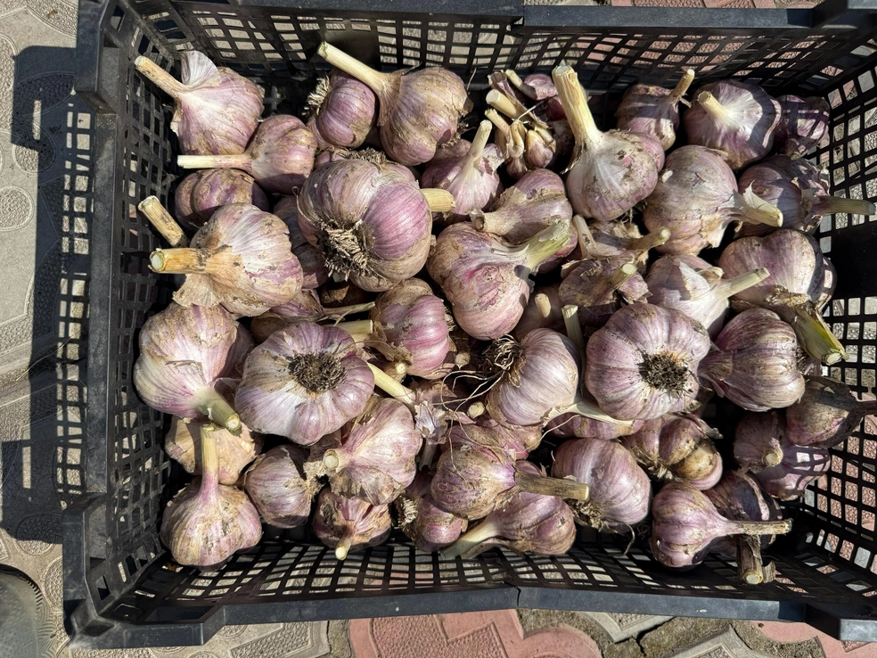 Источник: Мурманский онлайн рынок. Куплю. Продам. Пайки / Vk.com