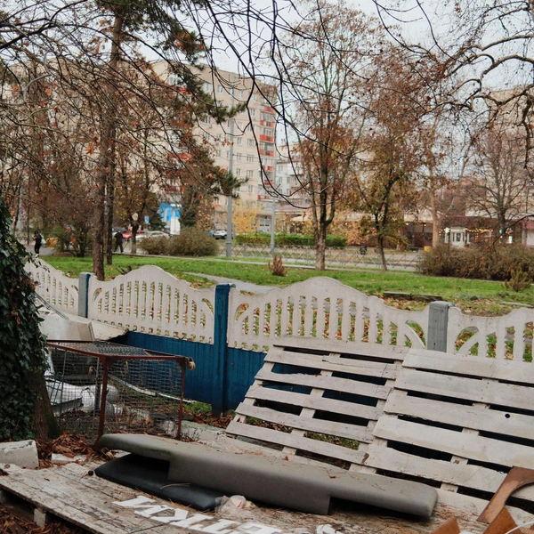 Источник: Дарья Паращенко / 93.RU