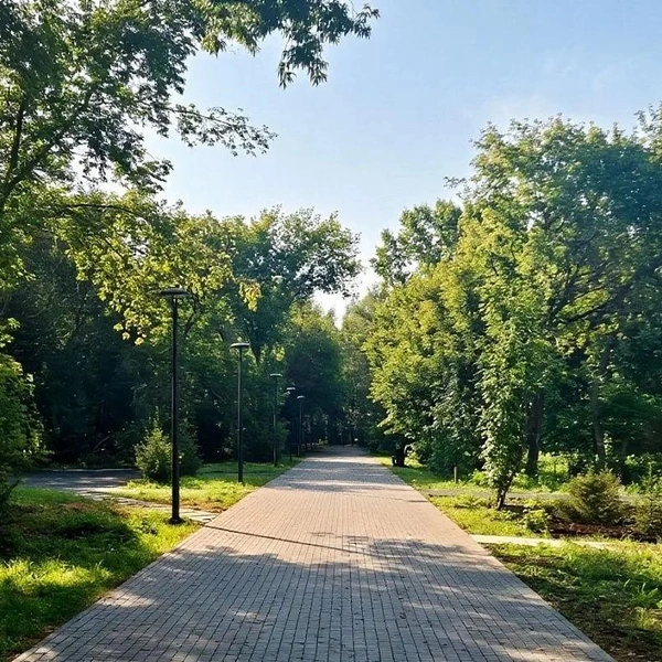 Источник: Администрация Барнаула