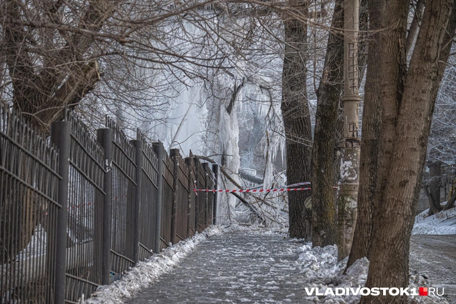 Источник: Елена Буйвол / VLADIVOSTOK1.RU