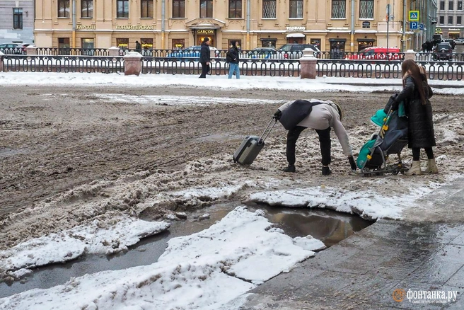 Источник: Михаил Огнев/«Фонтанка.ру»