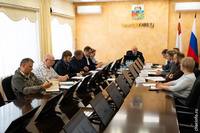 Источник: st.cherinfo.ru