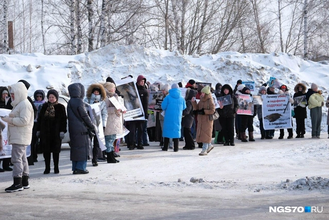 На пикет пришло более 100 человек | Источник: Василиса Орлова / NGS70.RU