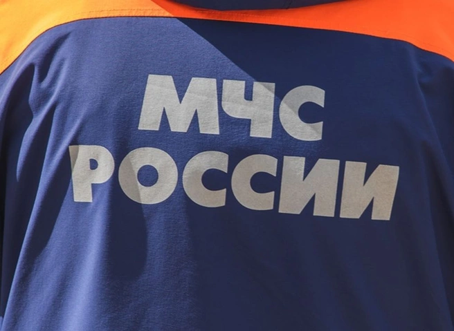 МЧС предупредило рязанцев о сохранении сильного ветра | ya62.ru
