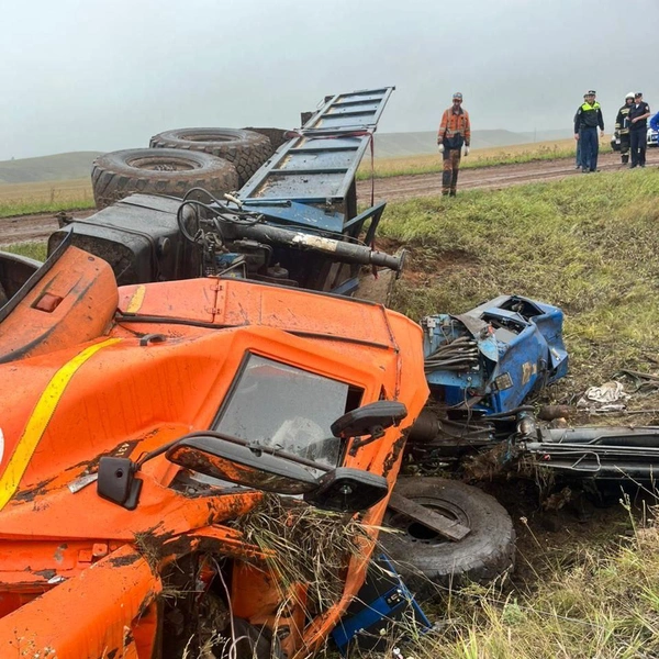 Источник: УМВД России по Оренбургской области