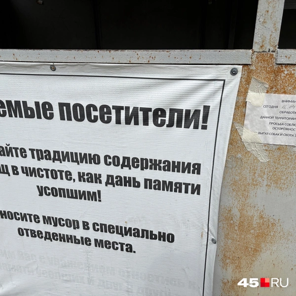 Источник: Кирилл Митин