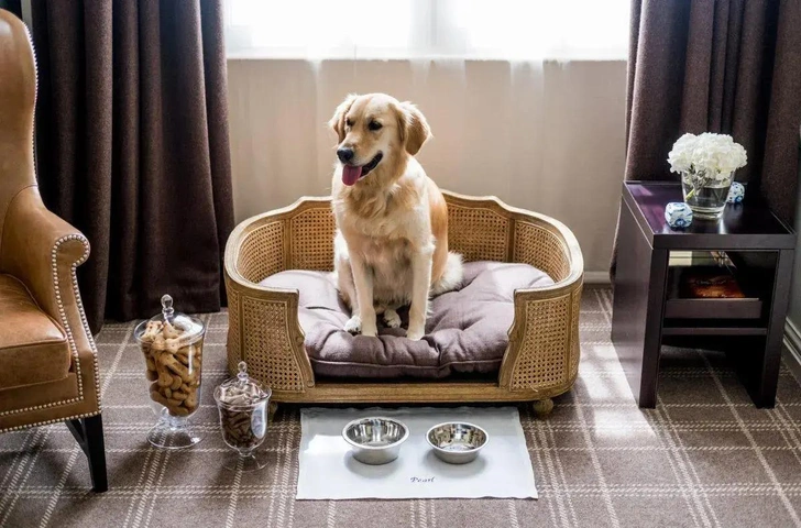Источник: Rosewood Hotels