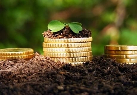 Кредиты АПК на полевые работы выросли на 32,7% | ya62.ru