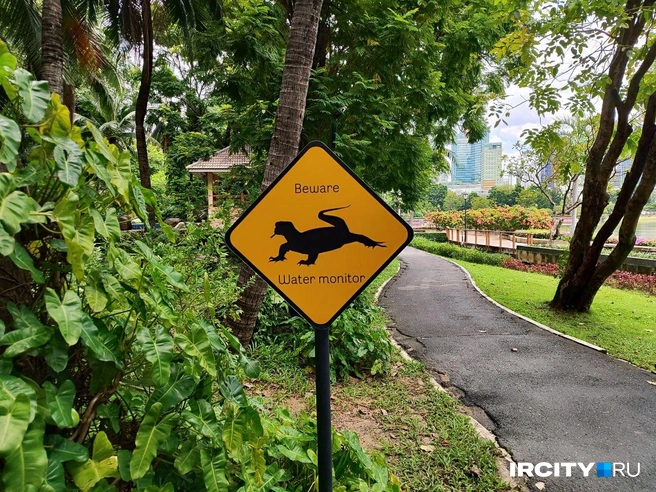 Просят остерегаться варанов. Но я же за ними сюда и пришла! | Источник: Алина Ринчино / «ИрСити»