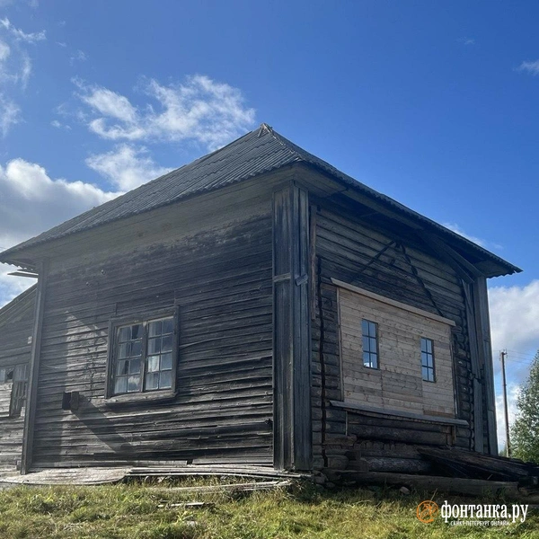 Источник: Елена Ваганова / FONTANKA.RU