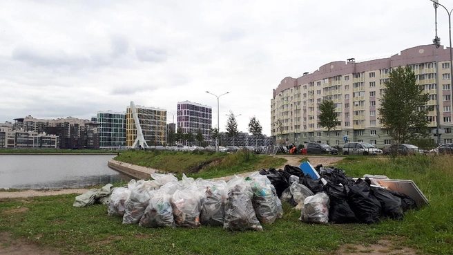 Петербург стал чище на 12 тонн мусора | Источник: Предоставлено проектом «Чистые Игры»