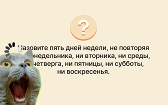 Логическое упражнение на пластичность мозга: справитесь с детской задачкой?