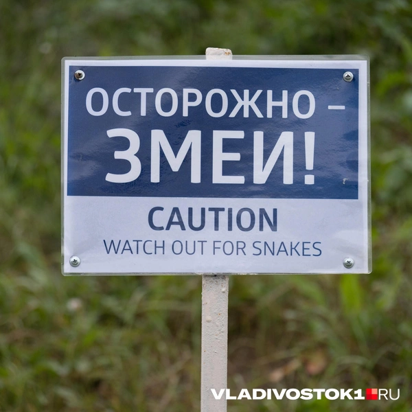 Источник: Елена Буйвол / VLADIVOSTOK1.RU